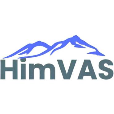 What is HimVaS? A Global Gathering of Vascular Experts